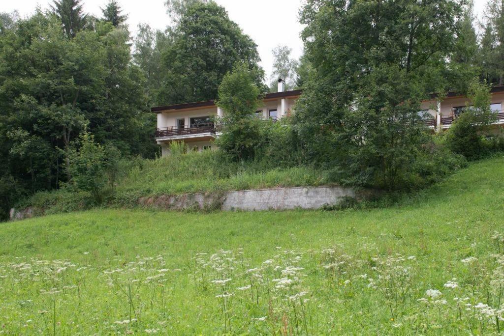 Апартаменты Birkenhof - Schimek Бюрзерберг Экстерьер фото